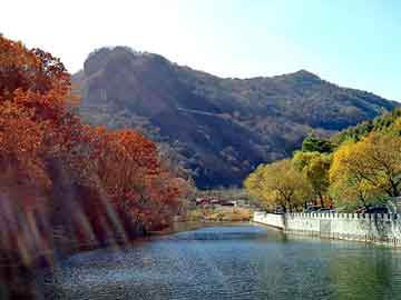 澳门二四六天天彩图库，乐风论坛